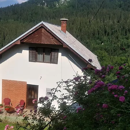 Planinska Kuca ,,furtula