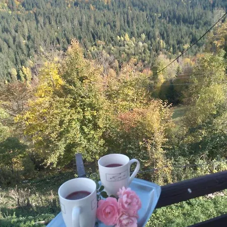 Σπίτι διακοπών Planinska Kuca ,,furtula