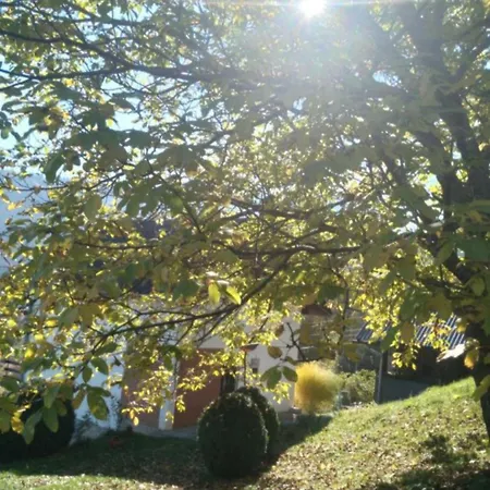 Planinska Kuca ,,furtula