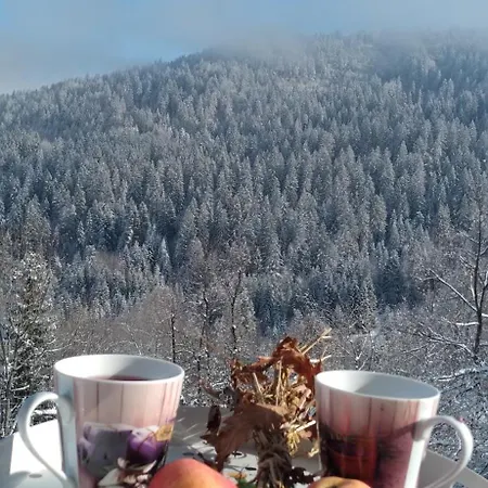 Planinska Kuca ,,furtula